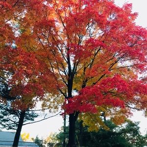 Meet your Posher, Floss